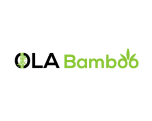 Ola Bamboo